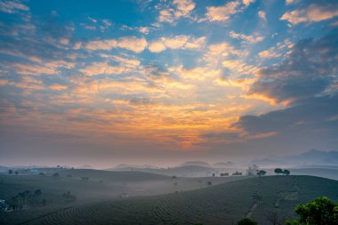 Moc Chau çay tepesinde gün doğumu, Moc Chau köyü, Son La bölgesi, Vietnam