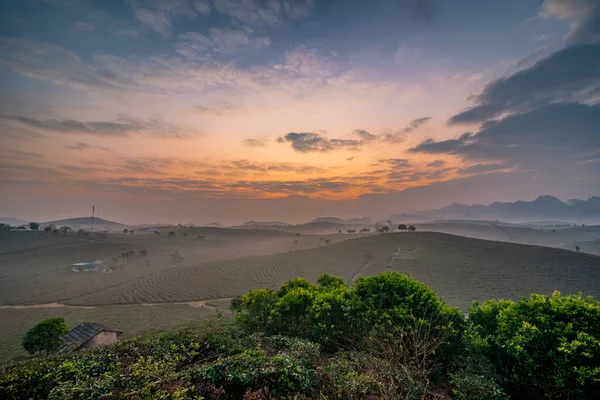 Lever Soleil Sur Colline Thé Moc Chau Village Moc Chau — Photo