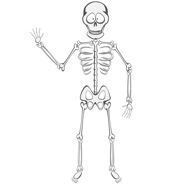 Skeleton Buddy — Stock Vector