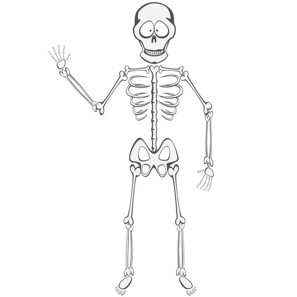 Skeleton Buddy — Stockvector