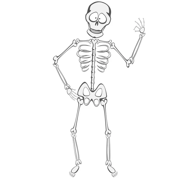 Skeleton Buddy — Stock Vector