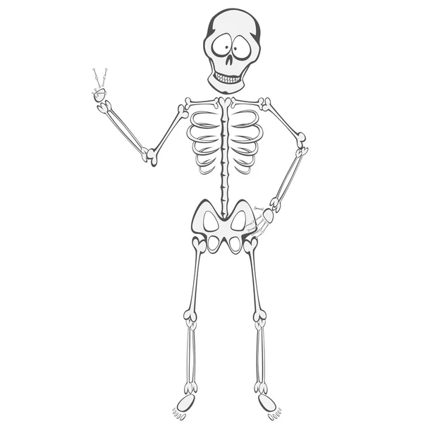 Skeleton Buddy di sini - Stok Vektor