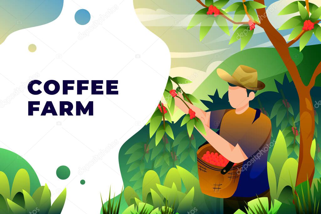 Coffee Farm - Vector Illustration