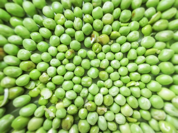 Piselli verdi e frutto di pisello il legume su bianco . — Foto Stock