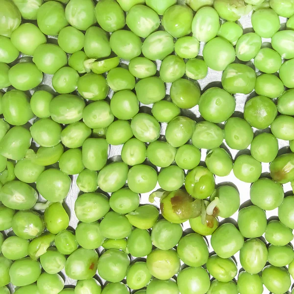 Piselli verdi e frutto di pisello il legume su bianco . — Foto Stock