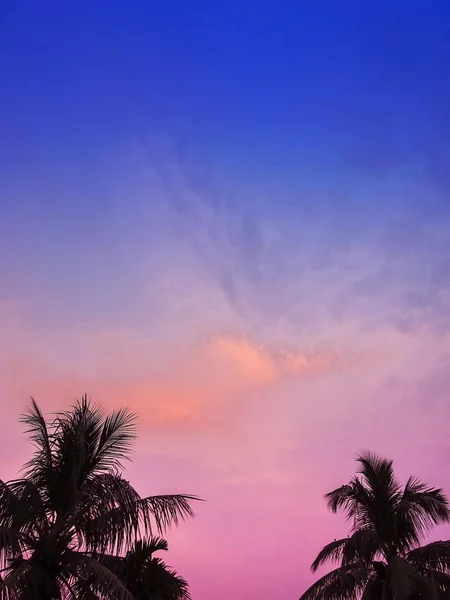 Colorida silueta del campo al atardecer de cocoteros en el — Foto de Stock