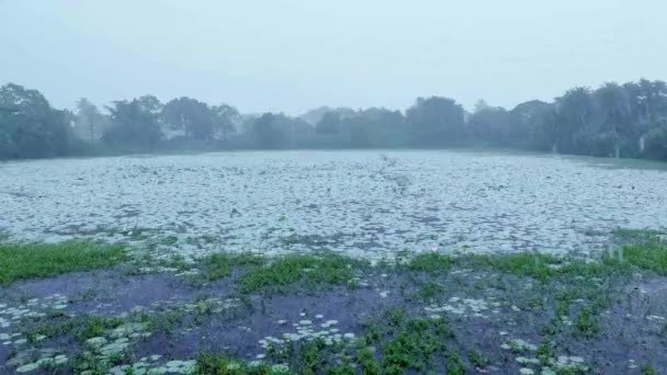 Está Lloviendo Por Todo Mundo — Vídeos de Stock