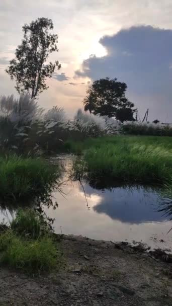 Reflexion Der Wolke Während Des Sonnenuntergangs — Stockvideo