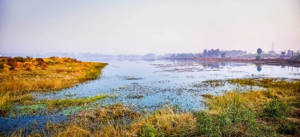 Landscape picture of wetland ground and water with grass and plants in the Indian subcontinent , Asia. December 2020.