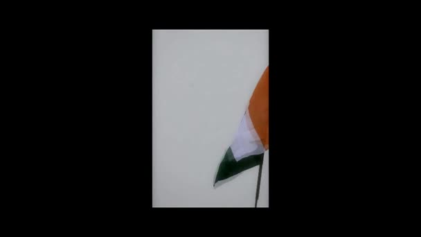 Självständighetsdagen Indien Firas Varje Indian Med Hissen Indiska National Flagga — Stockvideo