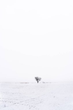 Minimalist kar manzarası. Madrid mi? İspanya.