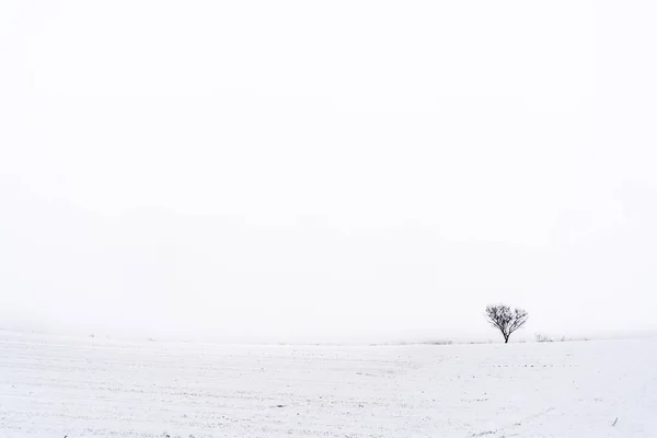 Minimalist Snowy Landscape Madrid Spain — Stock Photo, Image