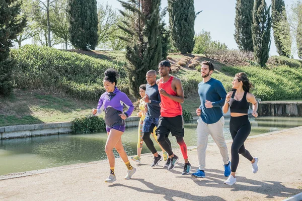 Grupo de corredores entrenando en un parque. —  Fotos de Stock