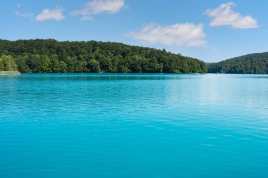 Plitvice Lakes National Park displaying clear turquoise water surrounded by green forest