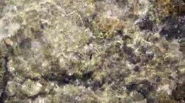 Sakin nehir suyu, alttaki kayaların üzerinden akıyor. Güneş ışığı yansımaları var.