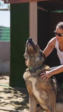 Gülümseyen bir kadının sırtüstü uzanan büyük bir köpeği okşamasının şefkatli ve yavaş çekim anı.