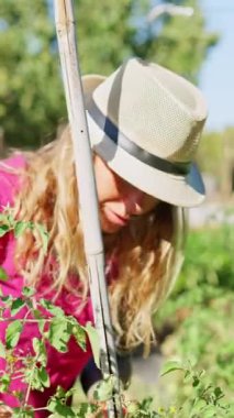 Güneşli bir günde yemyeşil bir bahçede bitkileriyle ilgilenen şapkalı mutlu bir kadın.
