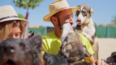 Hasır şapkalı mutlu sakallı adam güneşli bir günde Alaska köpeğini okşuyor ve sarılıyor.