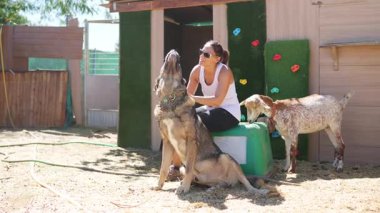 Gülümseyen bir kadının sırtüstü uzanan büyük bir köpeği okşamasının şefkatli ve yavaş çekim anı.