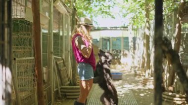 Dövmeleri olan genç bir kadın güneşli bir günde tüylü siyah bir köpeği bir hayvan barınağında sevgiyle tutuyor.