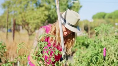 Güneşli bir günde yemyeşil bir bahçede bitkileriyle ilgilenen şapkalı mutlu bir kadın.