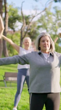 Bir grup aktif son sınıf öğrencisi güneşli bir günde açık havada yoga ve esneme egzersizleri yapıyor.