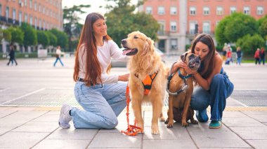 İki kadın dışarıda Golden retriever ve boksör köpekleriyle kaynaşıyor.