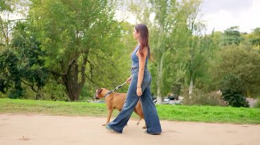 Güzel yeşil bir parkta boksör köpeğini tasmayla gezdiren çekici bir genç kadın.