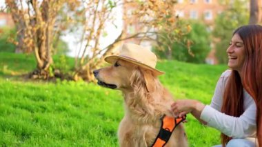 Fötr şapka takıp parkta koşum takımı takan sevimli Golden Retriever köpeğinin yan profili.