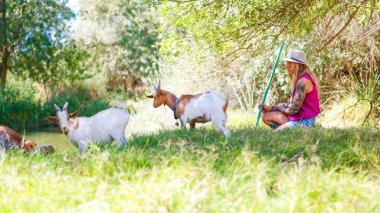 Yazın kırsal alanda keçi sürüsü güden dövmeli bir kadın.