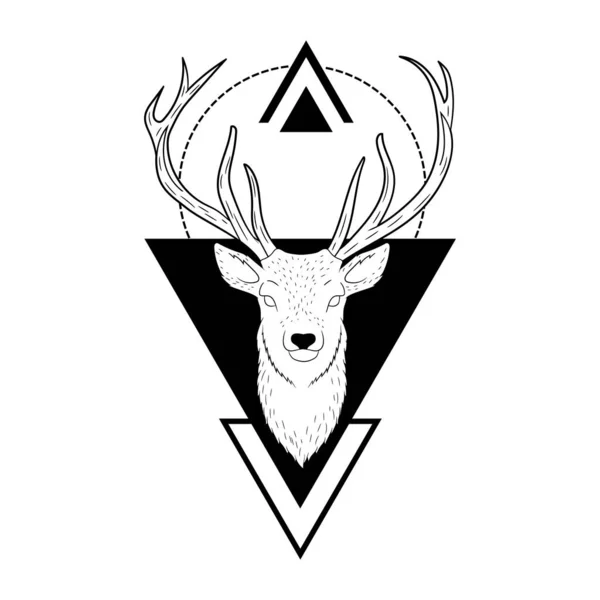 Deer Head Illustration Wild Life Vector Illustration — Stock Vector