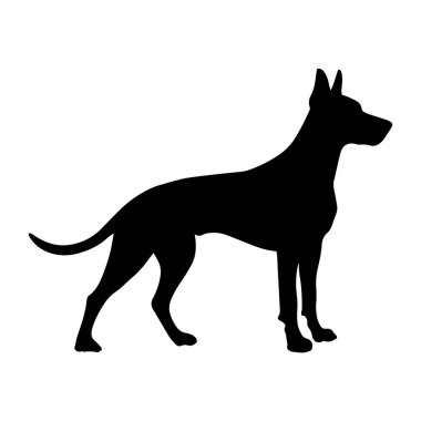 Doberman köpeği siyah silueti. Vektör.