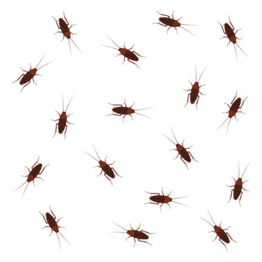 Sürünen hamamböceklerinin tasviri. Vektör.