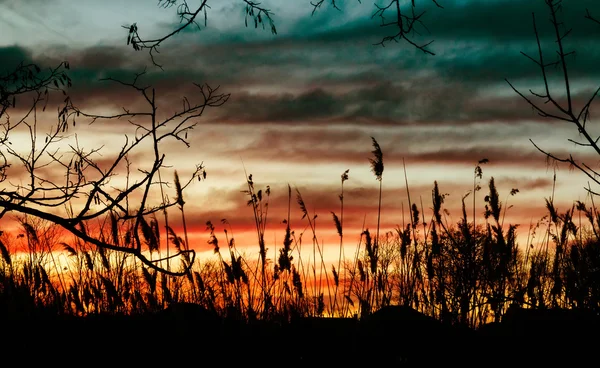 Sonnenuntergang auf dem Fluss — Stockfoto