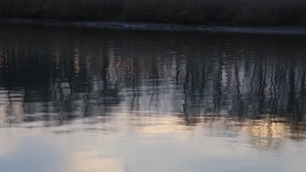 プランブリ夕暮れ夜までは、湿地の湿地 — ストック動画
