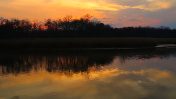 Área do pântano no pôr do sol pranburi antes da noite, Wetland of Khao Sam Roi Yot National Park , — Vídeo de Stock