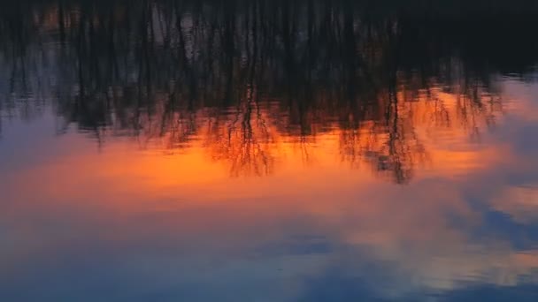 Área do pântano no pôr do sol pranburi antes da noite, Wetland of Khao Sam Roi Yot National Park , — Vídeo de Stock