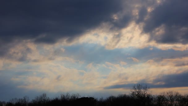 Niebo chmury horyzont — Wideo stockowe