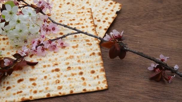 Židovská odchované matza — Stock video