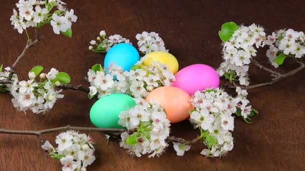 Easter eggs on a flowering tree branch — Stock Video