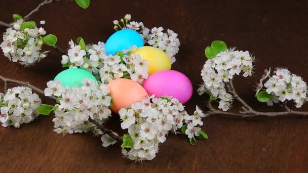 Easter eggs on a flowering tree branch — Stock Video