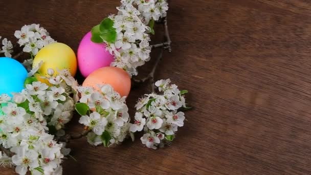 Ovos de Páscoa em um ramo de árvore florescente — Vídeo de Stock