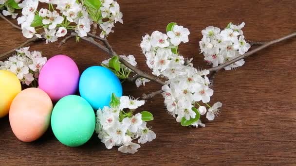 Ovos de Páscoa em um ramo de árvore florescente — Vídeo de Stock