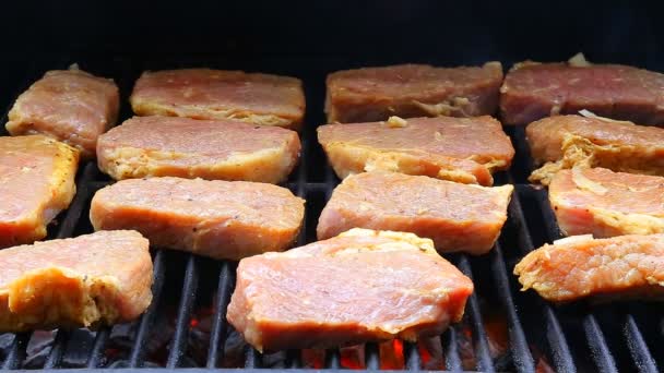 Juicy steaks sizzle on flaming  smoking grill — Stock Video