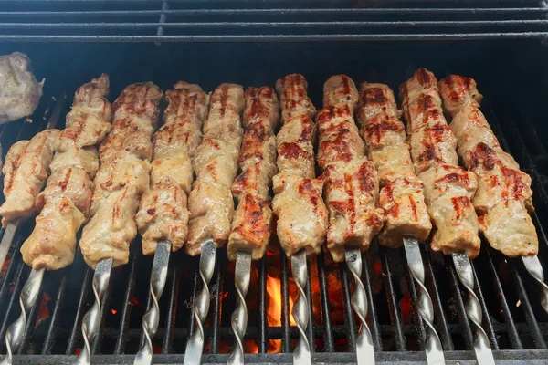 Świeży gorący grillowanym kurczakiem snish kebab grill na ruszcie nad — Zdjęcie stockowe