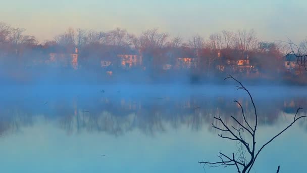 Fog sky river water bay forest — Stock Video