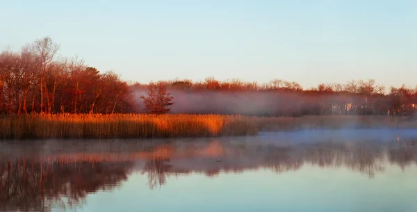 Fog sky river water bay forest — Stock Photo, Image