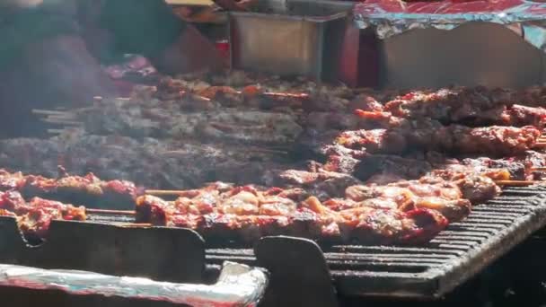 Juicy roasted chicken skewers,made of white meat and bacon, being turned on the bbq — Stock Video