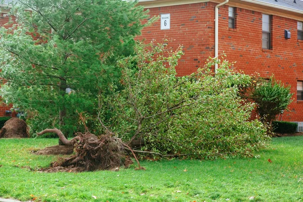 Orkanflut und Windschäden — Stockfoto