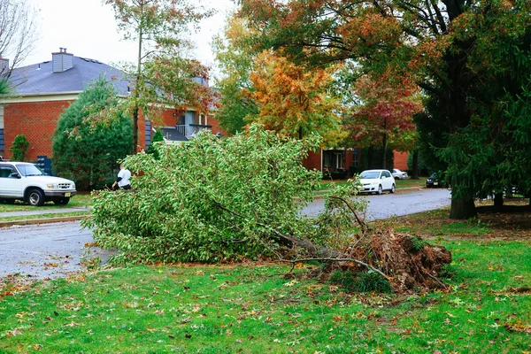 Orkaan flood en wind schade — Stockfoto